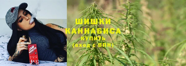 мдпв Гусь-Хрустальный