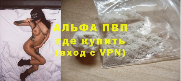 мдпв Гусь-Хрустальный