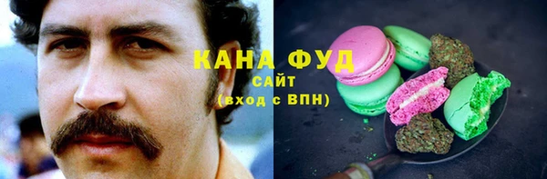 дживик Гусев