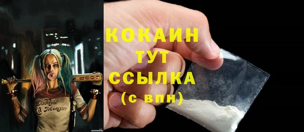 дживик Гусев
