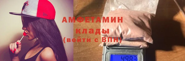 мдпв Гусь-Хрустальный