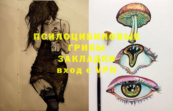 дживик Гусев
