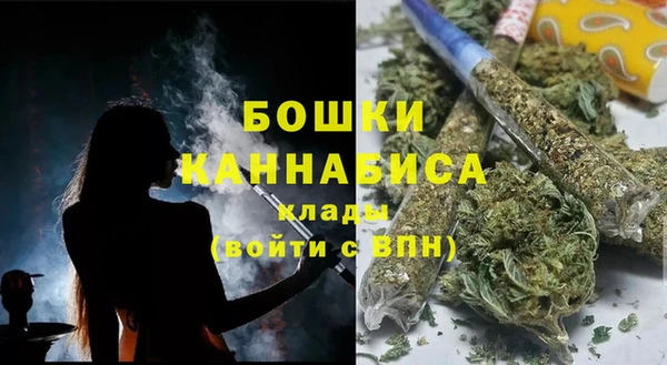 дживик Гусев