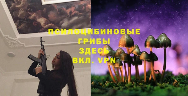 ALPHA-PVP Гусиноозёрск